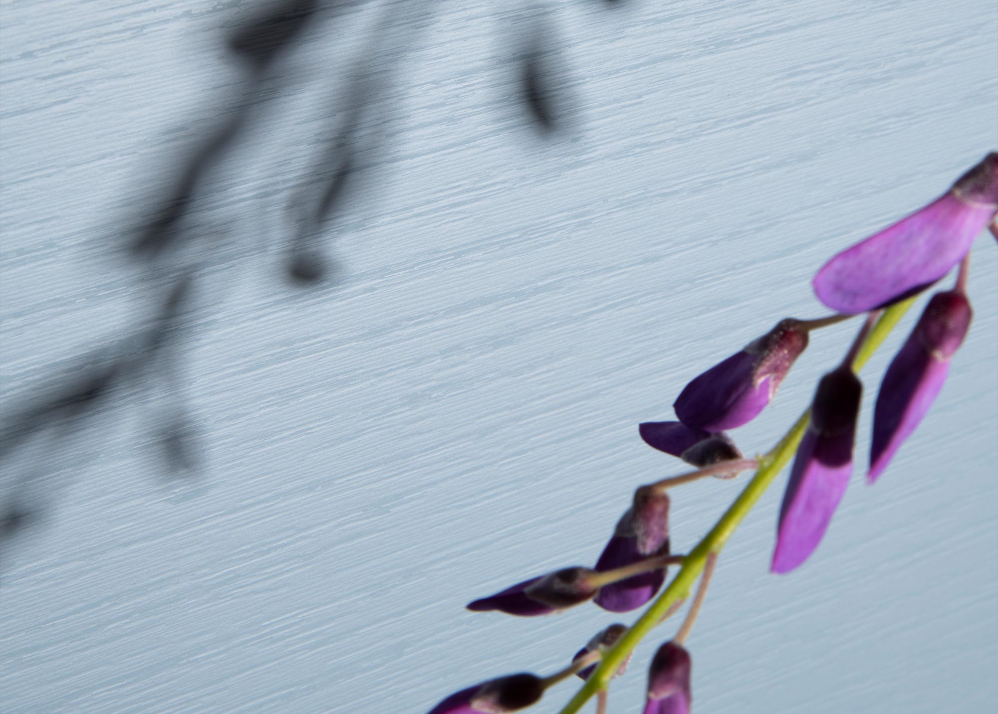 Velwood Abet Laminati PL